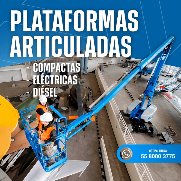 ¿Cuáles son los tipos de plataformas que brinda Rental Services?